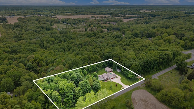 33515 28th Ave, Paw Paw, MI 49079 - aerial view of property's location with a forest and property boundaries highlighted