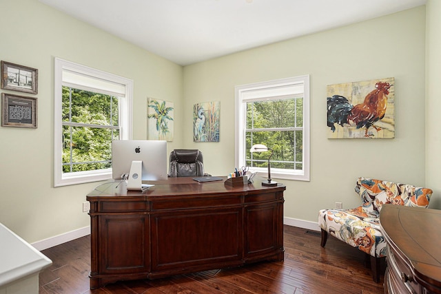 33515 28th Ave, Paw Paw, MI 49079 - office space with plenty of natural light, baseboards, and dark wood-style flooring