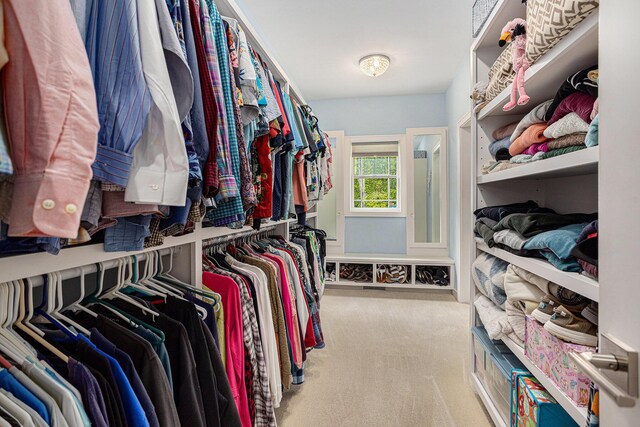 33515 28th Ave, Paw Paw, MI 49079 - spacious closet with carpet flooring