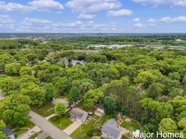 1724 Sandra St NW, Grand Rapids, MI 49544 - drone / aerial view of a forest