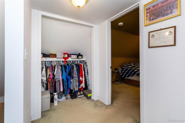 28399 Felician St, Roseville, MI 48066 - walk in closet with carpet