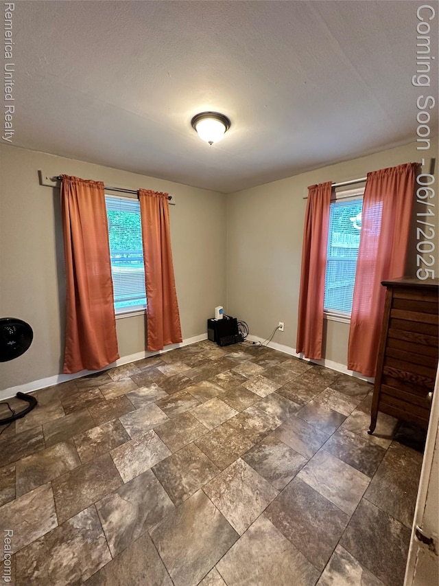 9044 N Sheldon Rd, Plymouth, MI 48170 - spare room with plenty of natural light, baseboards, and stone finish flooring