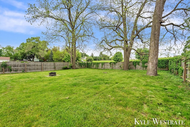 810 James St, Belding, MI 48809 - view of yard with a fire pit