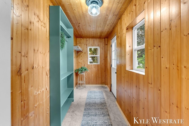 810 James St, Belding, MI 48809 - entryway featuring wood walls, wooden ceiling, and baseboards