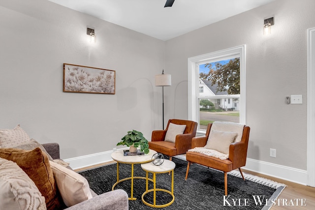 810 James St, Belding, MI 48809 - sitting room featuring wood finished floors, baseboards, and ceiling fan