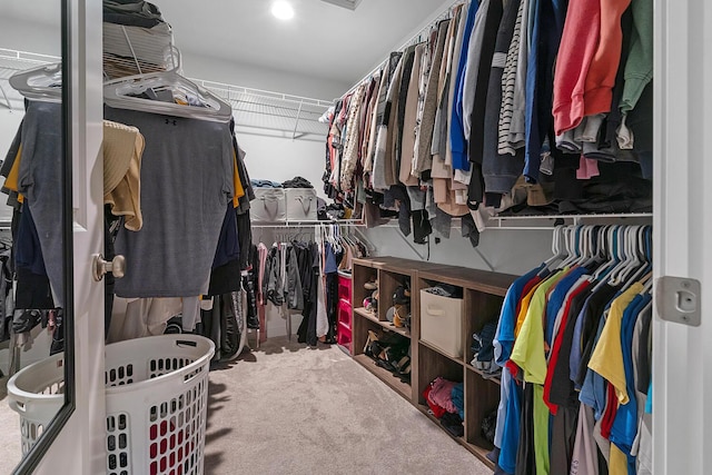 10321 E C Ave, Richland, MI 49083 - spacious closet with carpet flooring