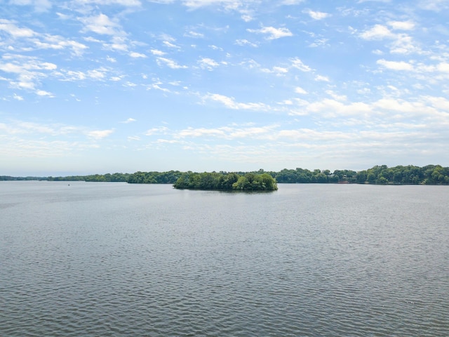 824 Cliffs Dr E Unit 304, Ypsilanti, MI 48198 - water view