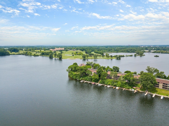 824 Cliffs Dr E Unit 304, Ypsilanti, MI 48198 - aerial view of a large body of water