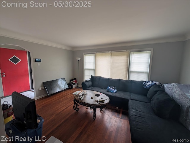 15340 Heyden St, Detroit, MI 48223 - living room featuring wood finished floors, ornamental molding, and baseboards
