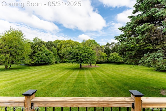 12225 Jeffers Ln, Fenton, MI 48430 - view of green lawn