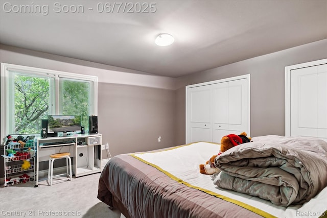 6642 Carlyle Ct, West Bloomfield, MI 48322 - bedroom with carpet and multiple closets