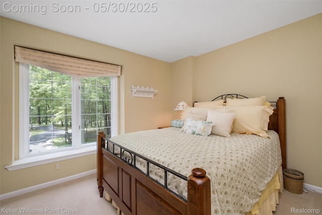 3120 Pond Rd, Leonard, MI 48367 - bedroom with baseboards, light carpet, and multiple windows