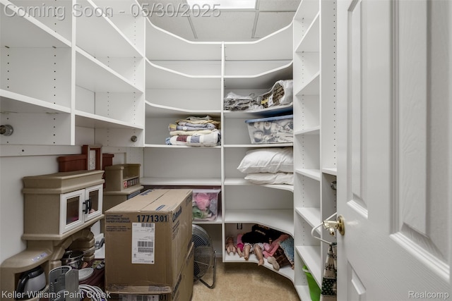3120 Pond Rd, Leonard, MI 48367 - view of pantry