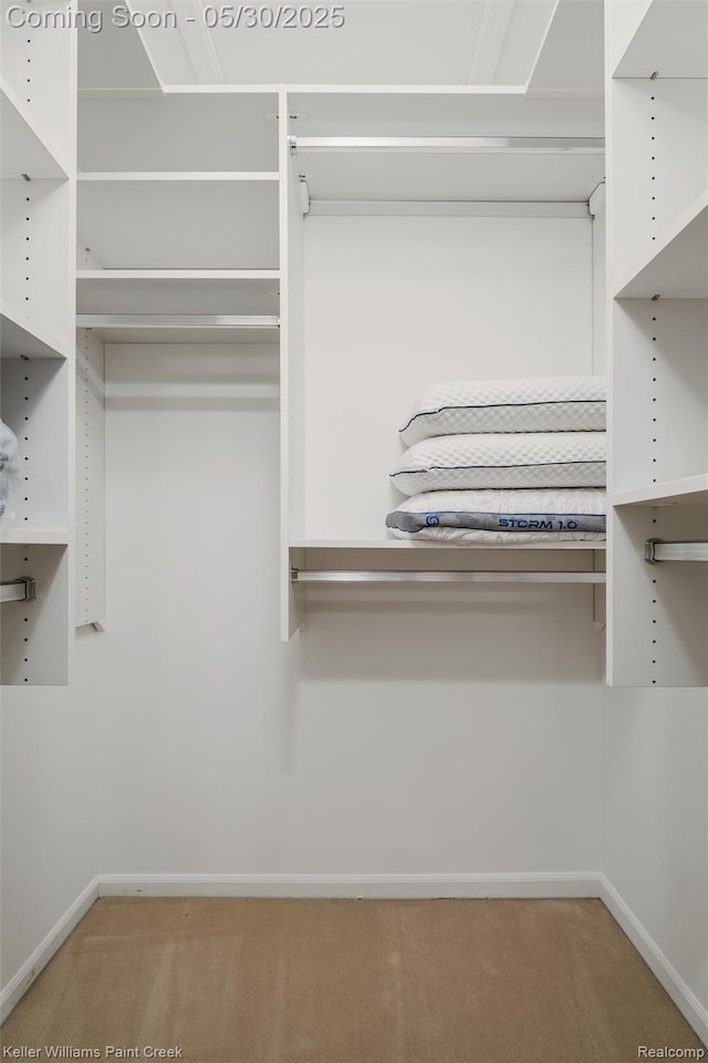3120 Pond Rd, Leonard, MI 48367 - spacious closet with carpet flooring