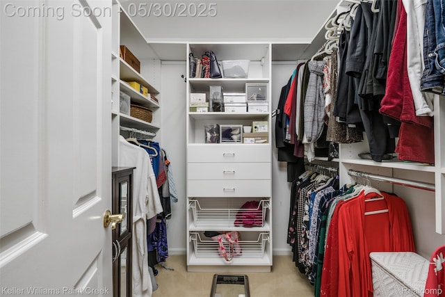 3120 Pond Rd, Leonard, MI 48367 - spacious closet with carpet