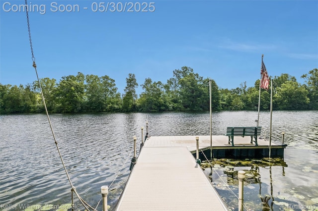3120 Pond Rd, Leonard, MI 48367 - dock with a water view