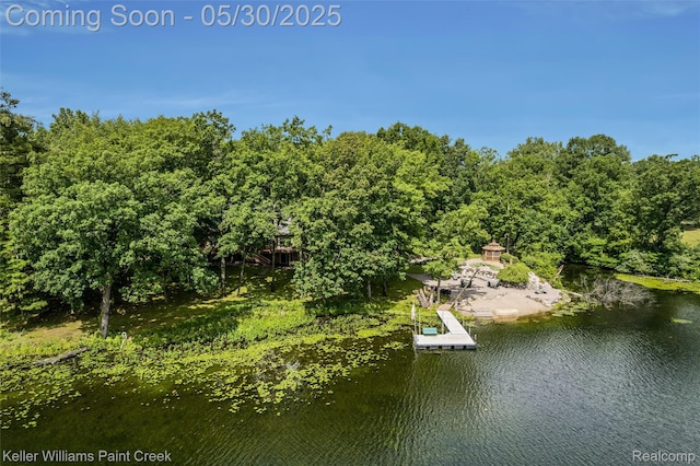 3120 Pond Rd, Leonard, MI 48367 - water view featuring a floating dock and a heavily wooded area