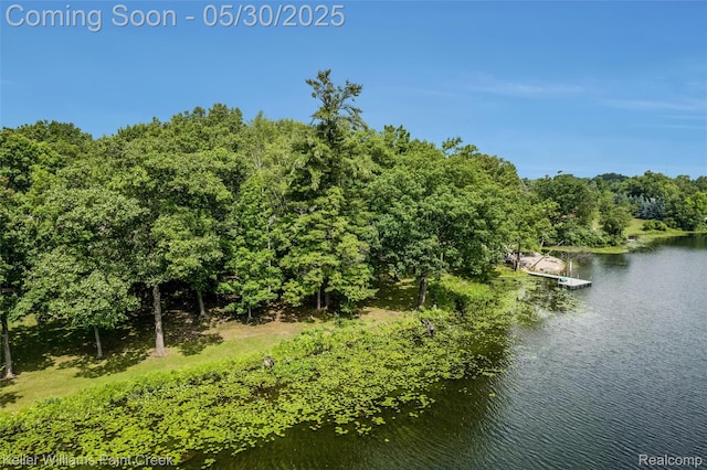 3120 Pond Rd, Leonard, MI 48367 - water view with a floating dock and a forest