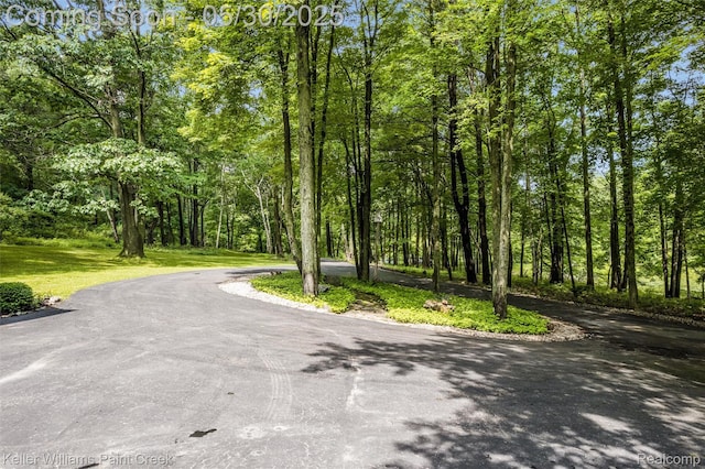 3120 Pond Rd, Leonard, MI 48367 - view of street featuring a forest view