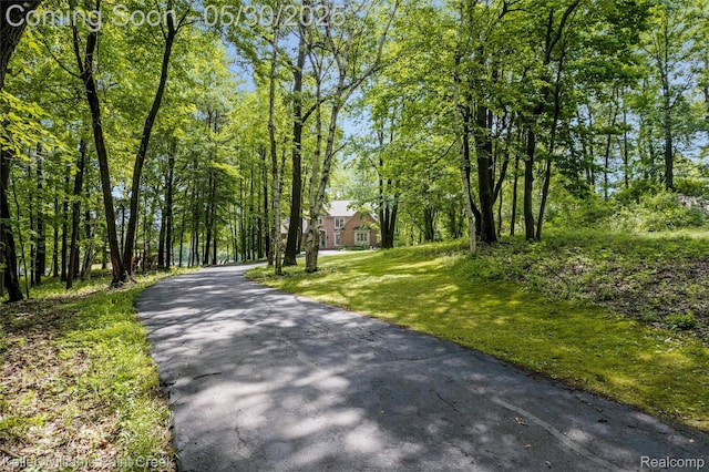 3120 Pond Rd, Leonard, MI 48367 - view of asphalt driveway