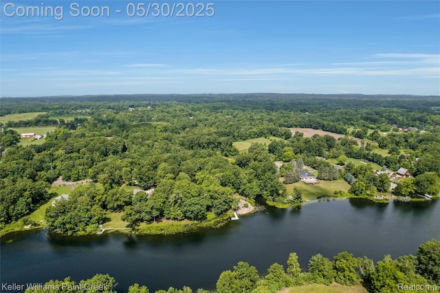 3120 Pond Rd, Leonard, MI 48367 - aerial view of a forest and a large body of water
