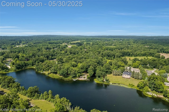 3120 Pond Rd, Leonard, MI 48367 - drone / aerial view of a heavily wooded area and a large body of water