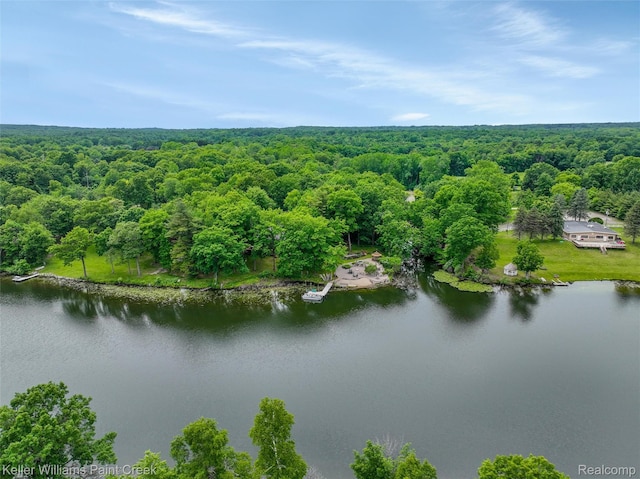 3120 Pond Rd, Leonard, MI 48367 - aerial view of a heavily wooded area and a large body of water
