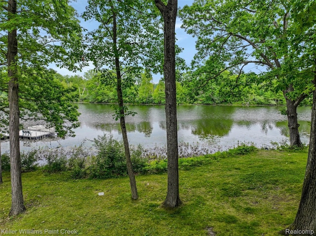 3120 Pond Rd, Leonard, MI 48367 - water view