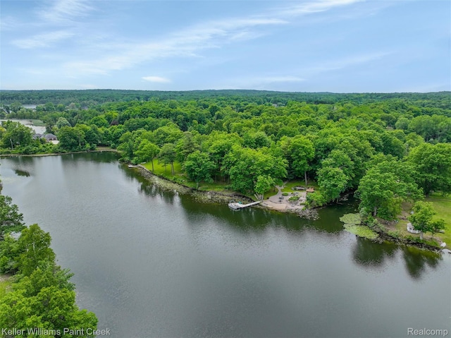 3120 Pond Rd, Leonard, MI 48367 - bird's eye view of a heavily wooded area and a large body of water