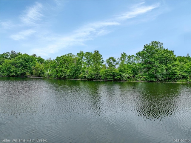 3120 Pond Rd, Leonard, MI 48367 - water view