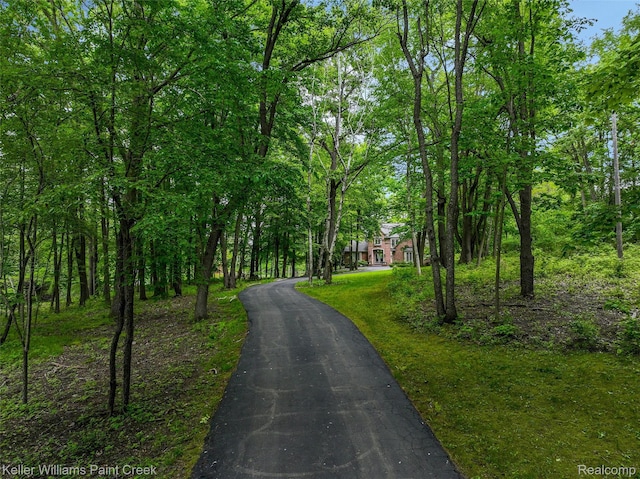 3120 Pond Rd, Leonard, MI 48367 - view of asphalt driveway