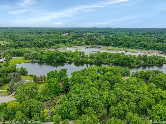 3120 Pond Rd, Leonard, MI 48367 - drone / aerial view of a forest and a large body of water