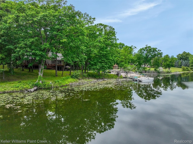 3120 Pond Rd, Leonard, MI 48367 - water view