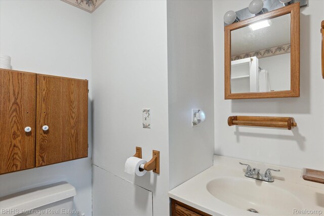 301 N Church St, Byron, MI 48418 - bathroom with toilet and vanity