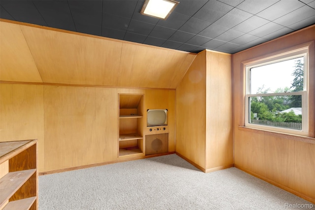 1621 Fairbairn St, Dearborn, MI 48141 - additional living space with carpet floors, lofted ceiling, and wooden walls