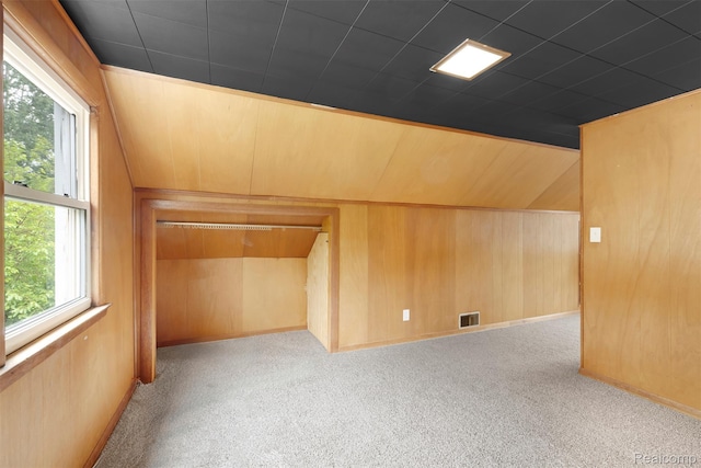1621 Fairbairn St, Dearborn, MI 48141 - bonus room with carpet floors and wooden walls
