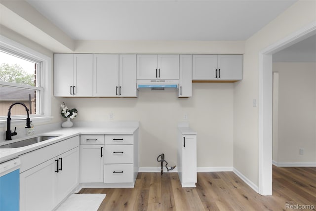 1621 Fairbairn St, Dearborn, MI 48141 - kitchen with dishwashing machine, under cabinet range hood, light wood-style flooring, and white cabinetry
