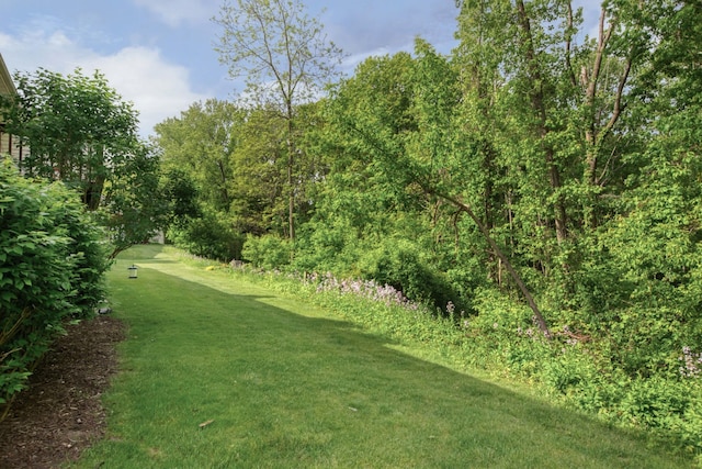 81 Skyline Cir NW, Grand Rapids, MI 49504 - view of grassy yard