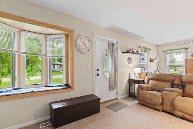 2045 Adams St, Adrian, MI 49221 - living room with carpet floors and baseboards