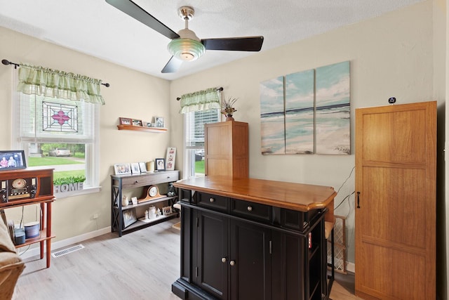 2045 Adams St, Adrian, MI 49221 - home office with light wood-type flooring, ceiling fan, and baseboards