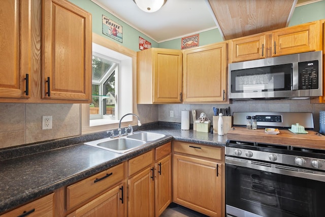 2045 Adams St, Adrian, MI 49221 - kitchen featuring stainless steel appliances, a sink, crown molding, tasteful backsplash, and dark countertops