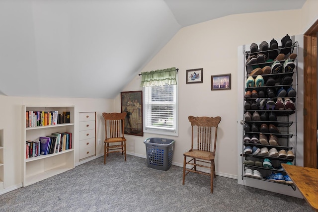 2045 Adams St, Adrian, MI 49221 - living area featuring vaulted ceiling, carpet flooring, and built in shelves