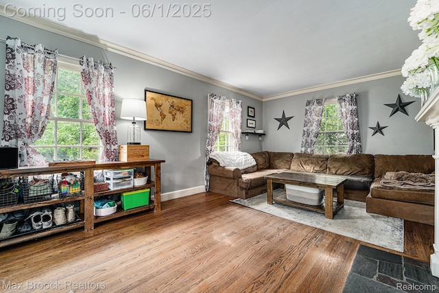 1312 Catalpa Dr, Royal Oak, MI 48067 - living room with wood finished floors, ornamental molding, and baseboards