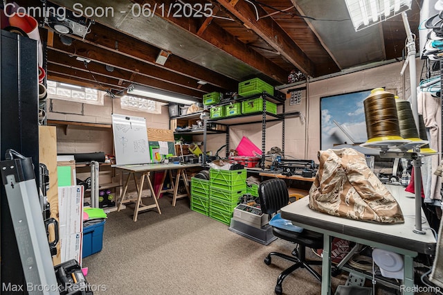 1312 Catalpa Dr, Royal Oak, MI 48067 - view of storage room
