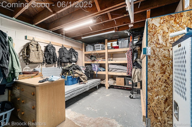 1312 Catalpa Dr, Royal Oak, MI 48067 - view of storage room