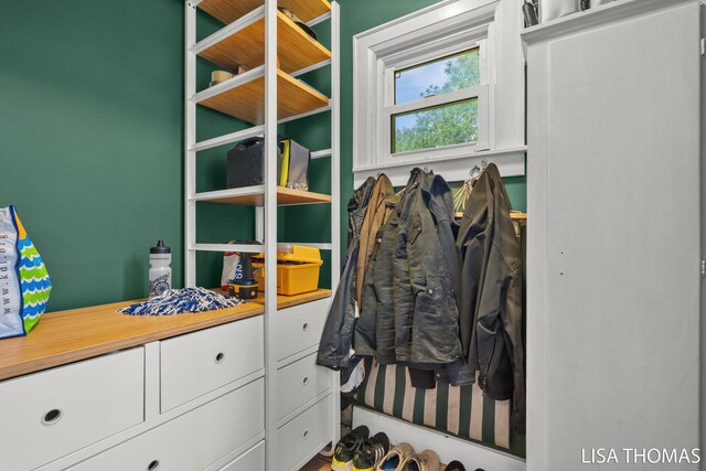 639 College Ave NE, Grand Rapids, MI 49503 - view of walk in closet
