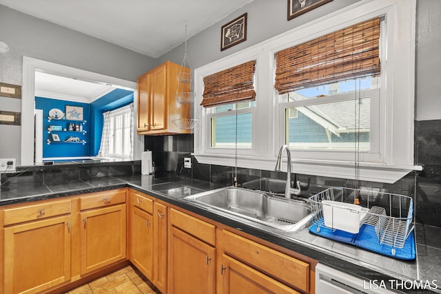 639 College Ave NE, Grand Rapids, MI 49503 - kitchen featuring a sink, dark countertops, dishwashing machine, and ornamental molding