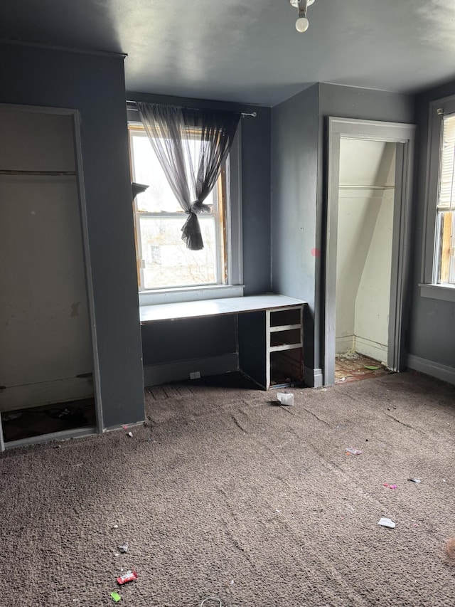 1101 W Rankin St, Flint, MI 48504 - unfurnished bedroom featuring multiple windows and carpet flooring