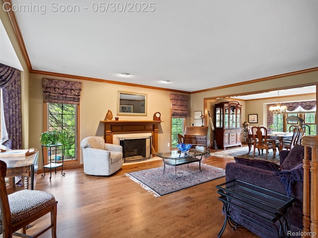 1552 Pebble Creek Dr, Rochester, MI 48307 - living room featuring wood finished floors, a chandelier, a fireplace with flush hearth, ornamental molding, and baseboards