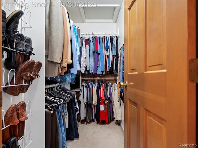 1552 Pebble Creek Dr, Rochester, MI 48307 - walk in closet with attic access and light colored carpet